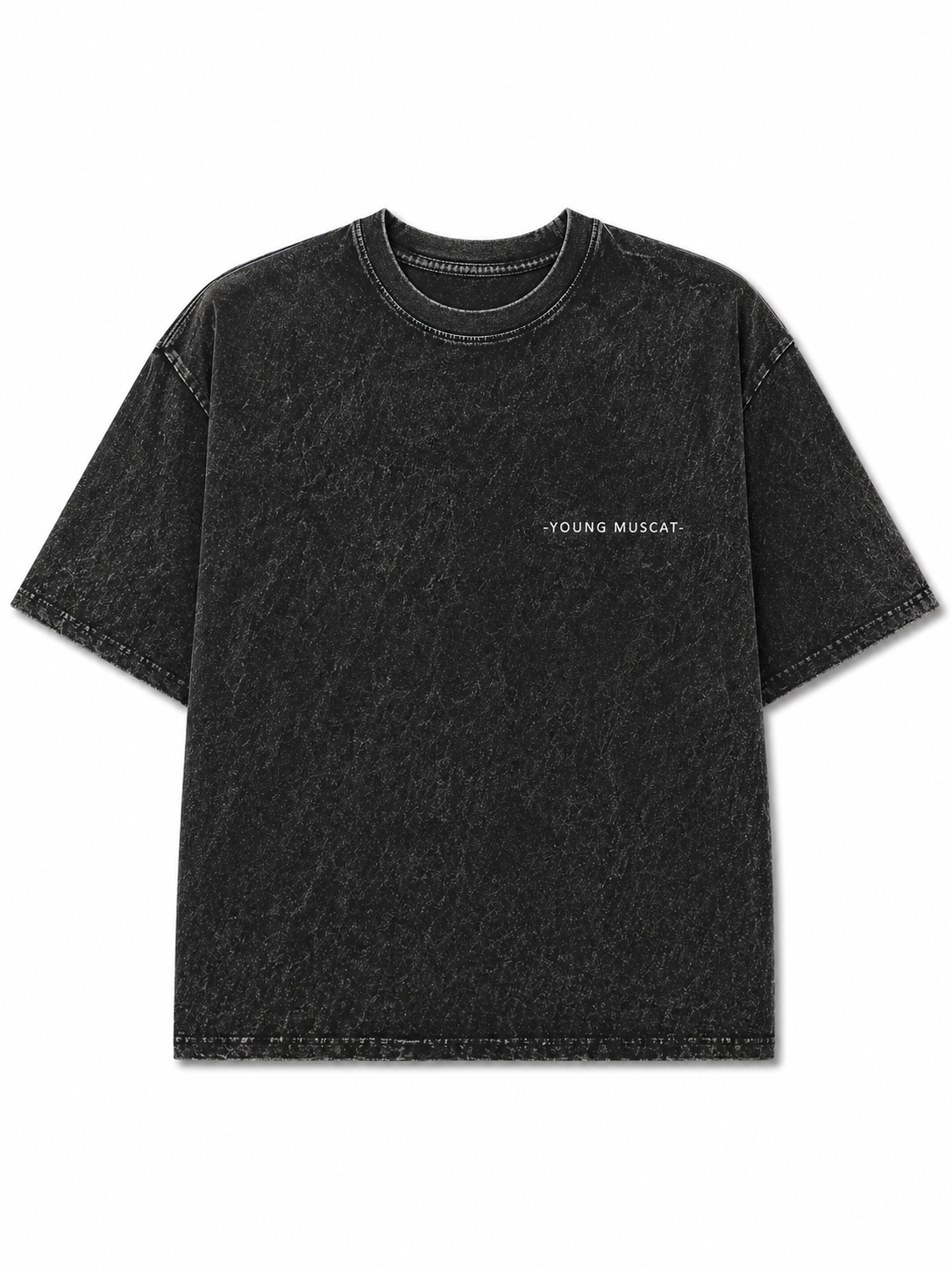Young Muscat Regular Fit T-Shirt – Black Stonewash