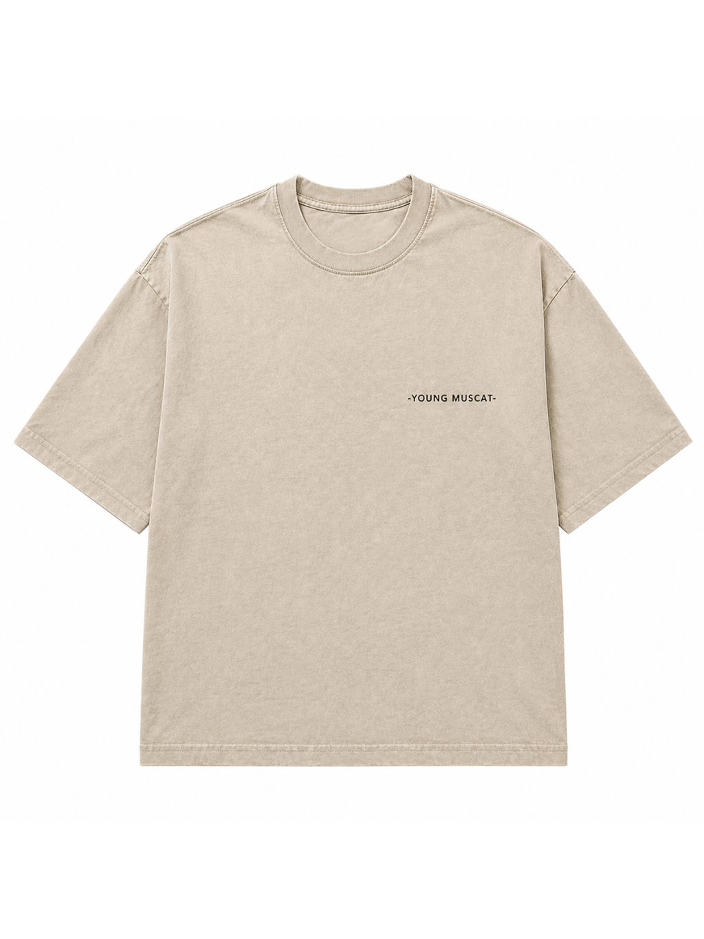Young Muscat Regular Fit T-Shirt – Beige