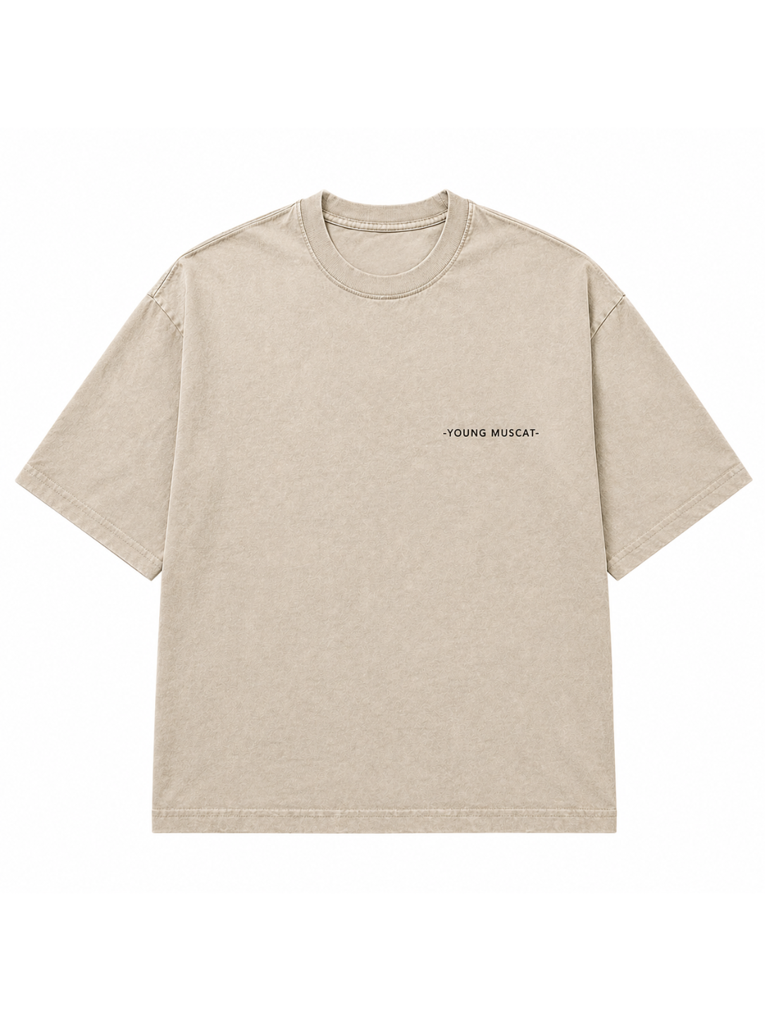 Young Muscat Regular Fit T-Shirt – Beige